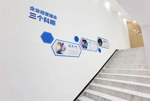 美好升級(jí)，煥新品牌 以技術(shù)服務(wù)驅(qū)動(dòng)企業(yè)轉(zhuǎn)型