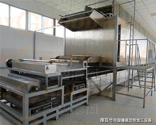 哪種工藝的紅薯粉條機更適合你用 這篇優劣勢對比分析講的很全面