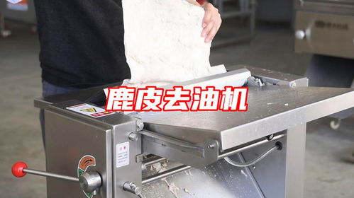 鹿皮去油用什么機(jī)器 自動刮肉皮油脂機(jī)多功能豬皮去油機(jī)